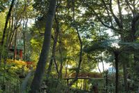 . Click to enlarge the image in Adobe Stock (new tab).