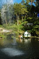 . Click to enlarge the image in Adobe Stock (new tab).