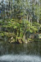 . Click to enlarge the image in Adobe Stock (new tab).