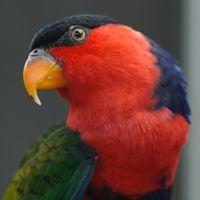 . Klicken, um das Bild zu vergrößern.