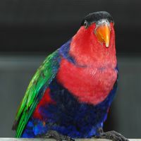 . Klicken, um das Bild zu vergrößern.