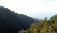 La plateau de Paúl da Serra à Madère. Vue sur Calheta. Cliquer pour agrandir l'image.