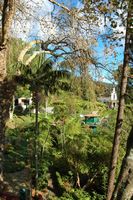 La quinta do Monte à Madère. Jardins. Cliquer pour agrandir l'image.