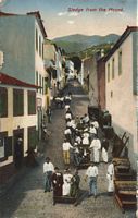 Le village de Monte à Madère. Carte postale traineau. Cliquer pour agrandir l'image.