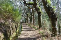 Le village de Monte à Madère. Levada da Serra do Faial. Cliquer pour agrandir l'image.
