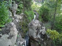 Le village de Monte à Madère. Levada Bom Sucesso. Cliquer pour agrandir l'image.