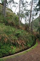 Le village de Monte à Madère. Levada dos Tornos. Cliquer pour agrandir l'image.