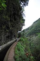Le village de Monte à Madère. Levada dos Tornos. Cliquer pour agrandir l'image.