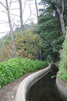 Le village de Monte à Madère. Levada dos Tornos. Cliquer pour agrandir l'image.