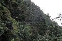Le village de Monte à Madère. Levada dos Tornos. Cliquer pour agrandir l'image.