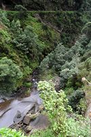 Le village de Monte à Madère. Levada dos Tornos. Cliquer pour agrandir l'image.