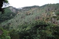 Le village de Monte à Madère. Levada dos Tornos. Cliquer pour agrandir l'image.