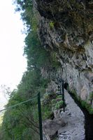 Levada do Caldeirão Verde