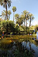 Le jardin Majorelle à Marrakech au Maroc. Cliquer pour agrandir l'image dans Adobe Stock (nouvel onglet).