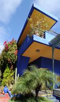 Le jardin Majorelle à Marrakech au Maroc. Villa de Majorelle. Cliquer pour agrandir l'image dans Adobe Stock (nouvel onglet).