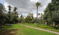 L'hôtel Tikida Garden à Marrakech au Maroc. Jardins. Cliquer pour agrandir l'image.