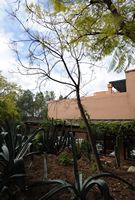 L'hôtel Tikida Garden à Marrakech au Maroc. Restaurant orangeraie. Cliquer pour agrandir l'image.