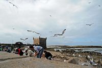 La ville d'Essaouira au Maroc. Skala du port. Cliquer pour agrandir l'image.