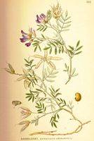 . Cliquer pour agrandir l'image. . Cliquer pour agrandir l'image.