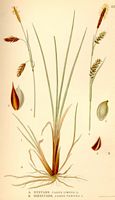 . Cliquer pour agrandir l'image. . Cliquer pour agrandir l'image.