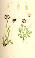 . Cliquer pour agrandir l'image. . Cliquer pour agrandir l'image.
