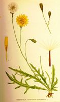. Cliquer pour agrandir l'image. . Cliquer pour agrandir l'image.