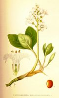 . Cliquer pour agrandir l'image. . Cliquer pour agrandir l'image.