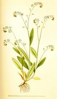 . Cliquer pour agrandir l'image. . Cliquer pour agrandir l'image.