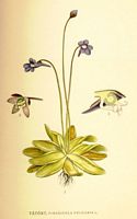 . Cliquer pour agrandir l'image. . Cliquer pour agrandir l'image.