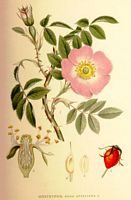 . Cliquer pour agrandir l'image. . Cliquer pour agrandir l'image.