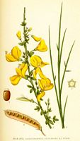 . Cliquer pour agrandir l'image. . Cliquer pour agrandir l'image.