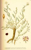 . Cliquer pour agrandir l'image. . Cliquer pour agrandir l'image.