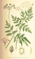. Cliquer pour agrandir l'image. . Cliquer pour agrandir l'image.