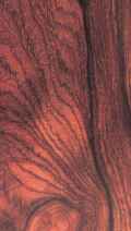 Cocobolo.