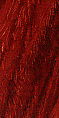 Cocobolo. Bois.