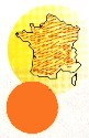 Frêne commun.