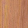 Hickory. Bois.