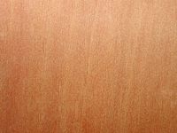 Alisier blanc. Bois en coupe tangentielle. Cliquer pour agrandir l'image.