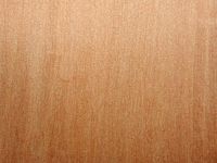 Alisier blanc. Bois en coupe longitudinale. Cliquer pour agrandir l'image.