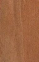 Alisier blanc. Bois en coupe longitudinale. Cliquer pour agrandir l'image.