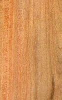 Amandier commun. Bois en coupe longitudinale. Cliquer pour agrandir l'image.