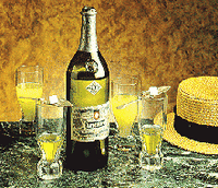 Armoise absinthe. Liqueur. Cliquer pour agrandir l'image.