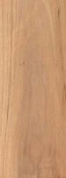 Aubépine à deux styles. Bois en coupe tangentielle. Cliquer pour agrandir l'image.