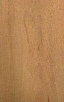 Aubépine monogyne. Bois. Cliquer pour agrandir l'image.