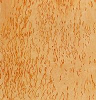 Bouleau pubescent. Bois mazré. Cliquer pour agrandir l'image.