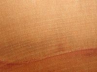 Bouleau verruqueux. Bois en coupe radiale. Cliquer pour agrandir l'image.