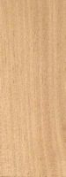 Bouleau verruqueux. Bois en coupe longitudinale. Cliquer pour agrandir l'image.