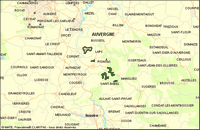 Buis commun. En comté d'Auvergne. Cliquer pour agrandir l'image.