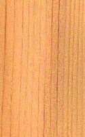 Cedre du liban. Bois. Cliquer pour agrandir l'image.