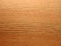 Cerisier aigre. Bois en coupe tangentielle. Cliquer pour agrandir l'image.